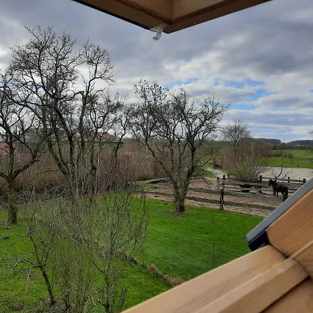 Ferienhaus Esgrusschauby Pferdehof Lantgård *